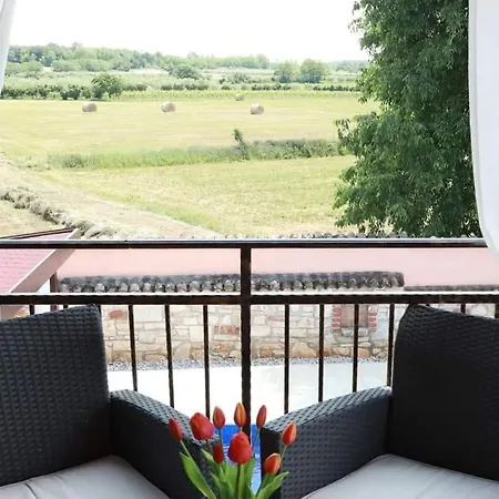 Luna With Pool Сasa de vacaciones Poreč